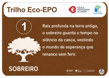 1� esta��o - Sobreiro