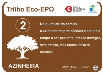 2� esta��o - Azinheira