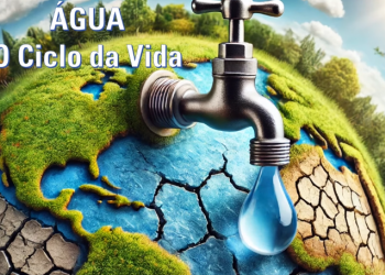 O ciclo de vida da gua