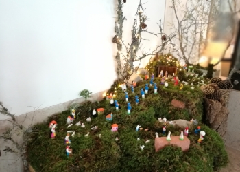 FAMLIA INSIGNARE CELEBRA O NATAL